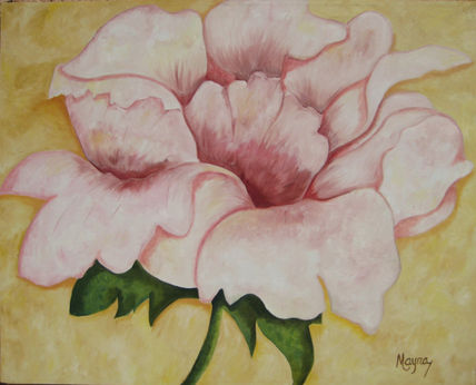 flor rosa  Mayra...