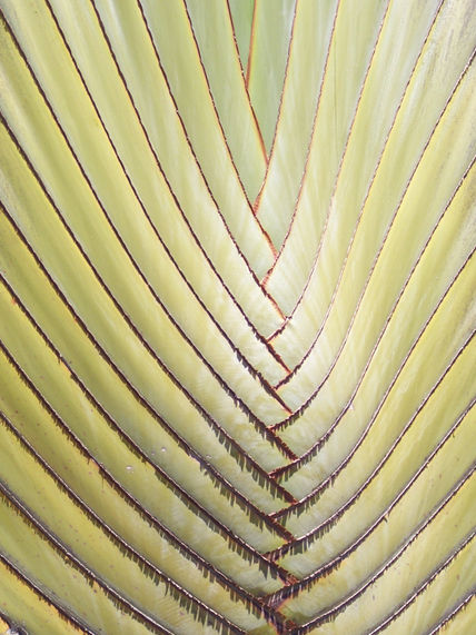 22 - vegetación