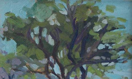 arboles