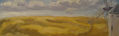 Campo en La Mancha
