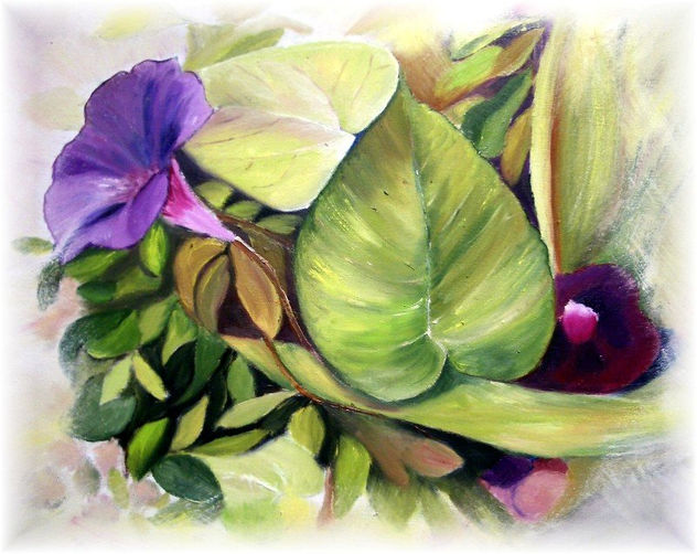 CAMPANULAS