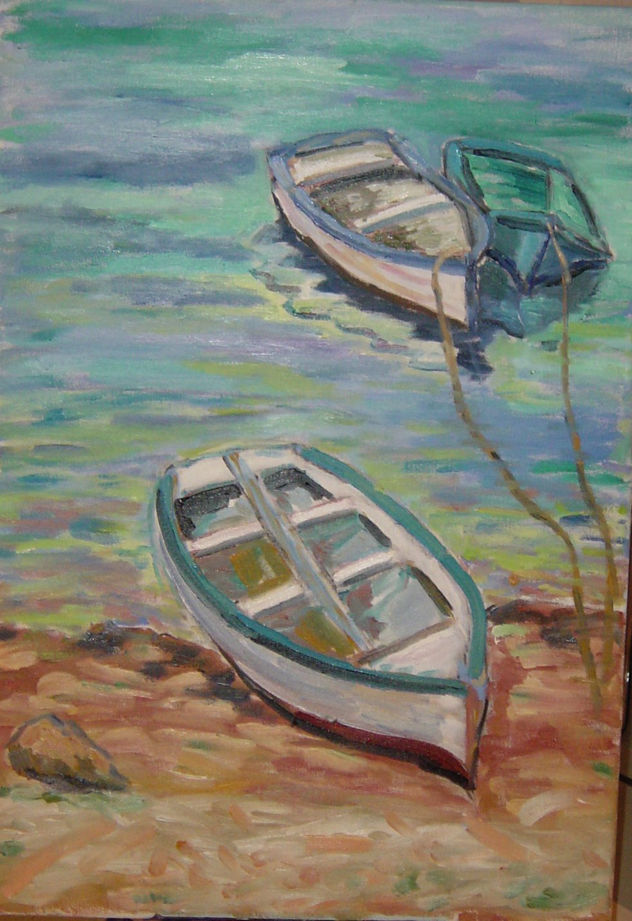 Barcas amarradas