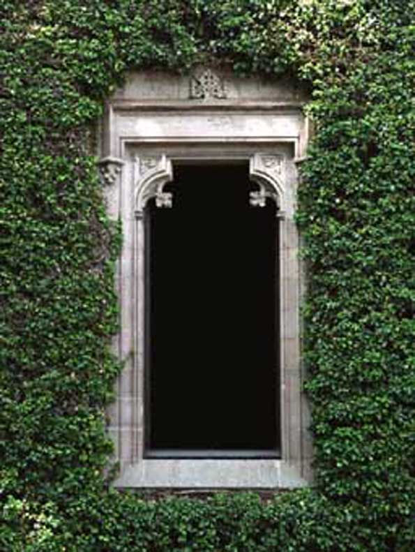 ventana 4
