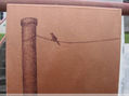 poste y pajarito