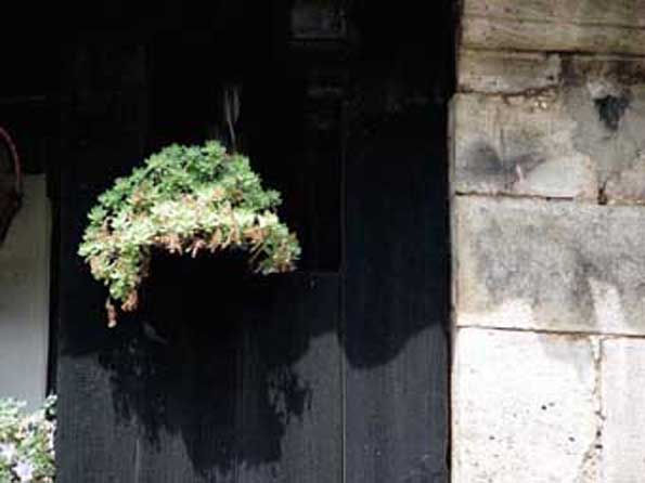 puerta 3