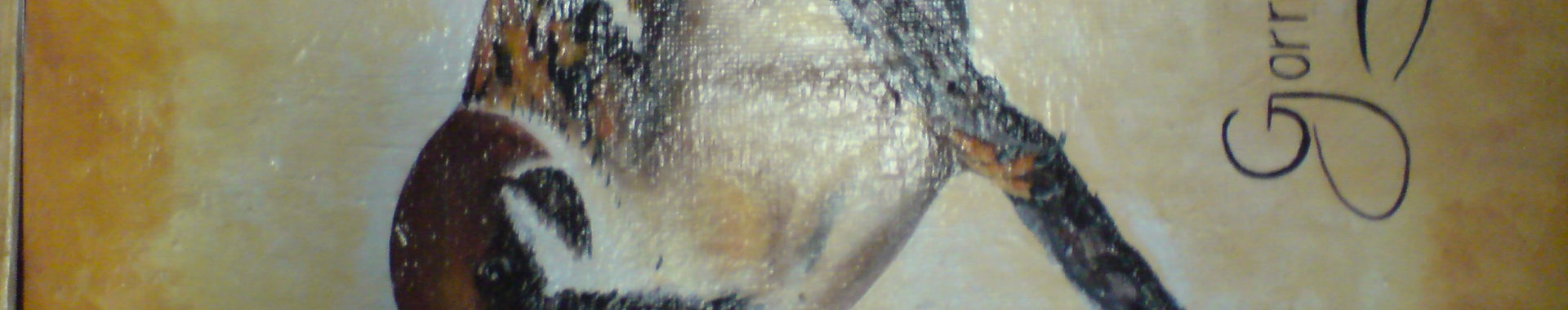 Imagen de portada