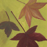 FLORES Y BODEGONES thumbnail 1