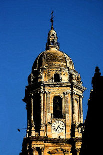 Málaga - Catedral