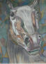 "Caballo descarnado"