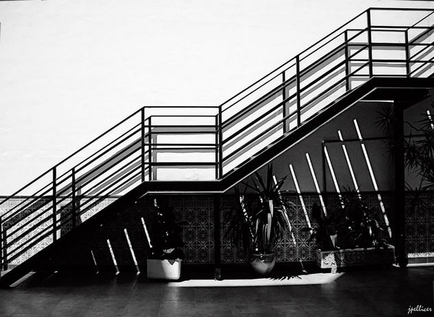 Escaleras Interiores Arquitectura e interiorismo Blanco y Negro (Digital)