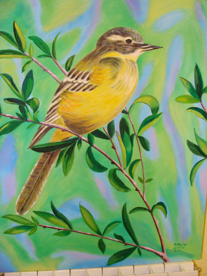 el pájaro se mece tranquilo en la rama Oil Canvas Landscaping