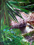 Fuente de piedra
