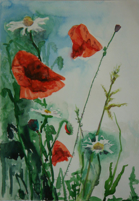Flores