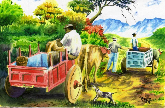 mis acuarelas ( paintings