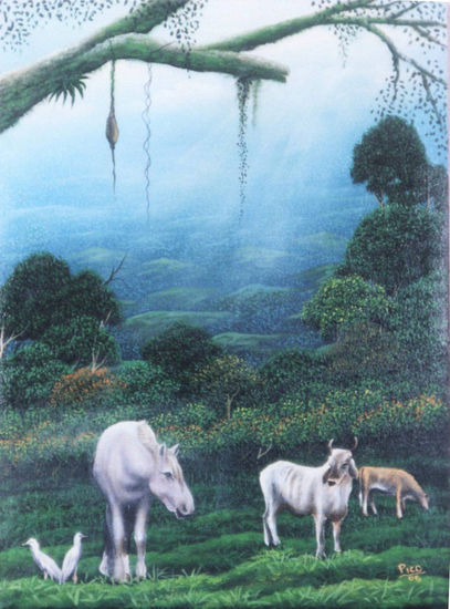 MY PAINTINGS( PICO FROM DULCE NOMBRE DE CARTAGO ,COSTA RICA,CENTRALAMERICA Oil Canvas Landscaping