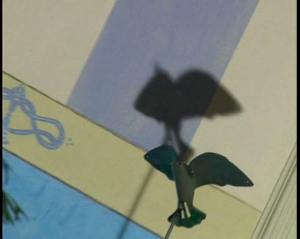 Pájaro 2