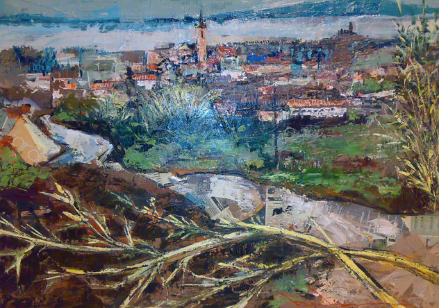 Vista panoramica Alpicat