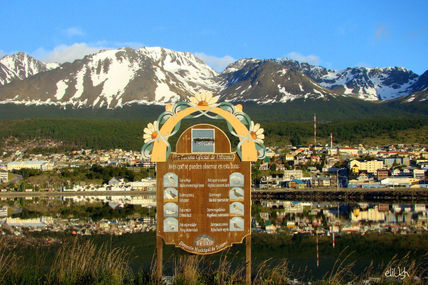 Aves de Ushuaia