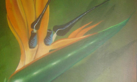 Florales