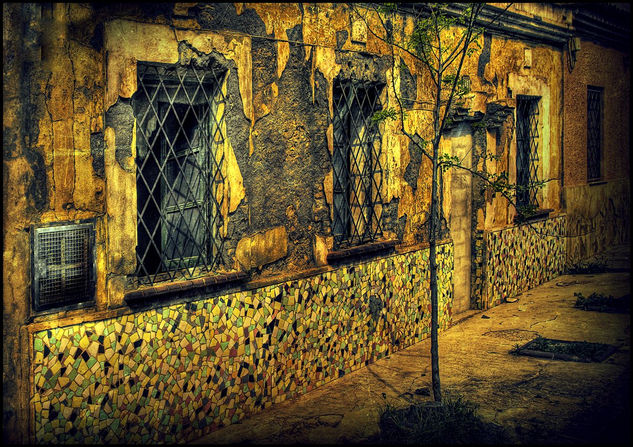 Calle vieja,arbol joven Architecture and Interiorism Color (Digital)