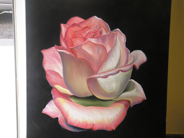 rosa cálida Oil Canvas Landscaping