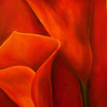 FLORES thumbnail 1
