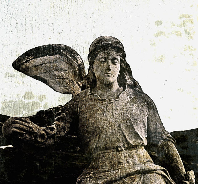 Cementerio VII