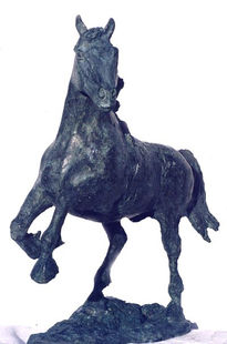 Potro