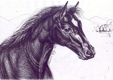 Caballos II