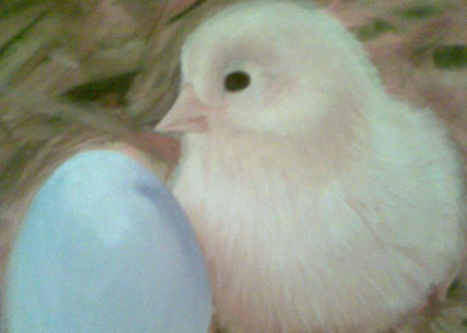 Pollo en el nido