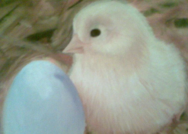 POLLO EN EL NIDO