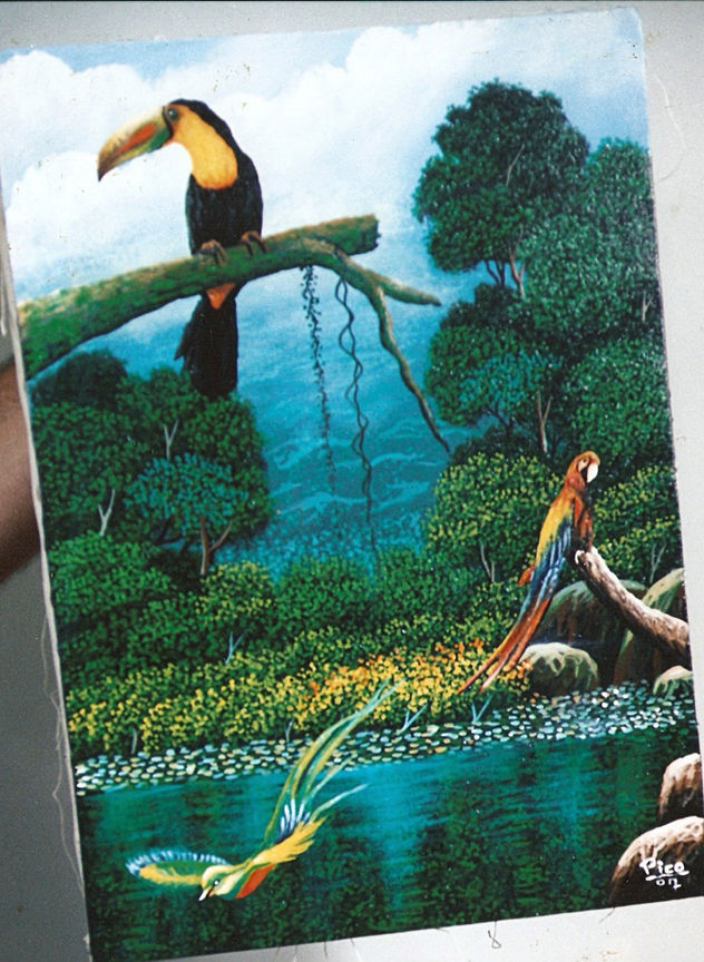 ANIMALES DE COSTA RICA