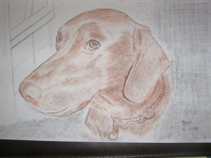Mascota