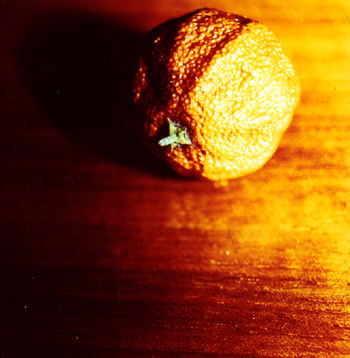 Mandarina seca Bodegones Color (Química)