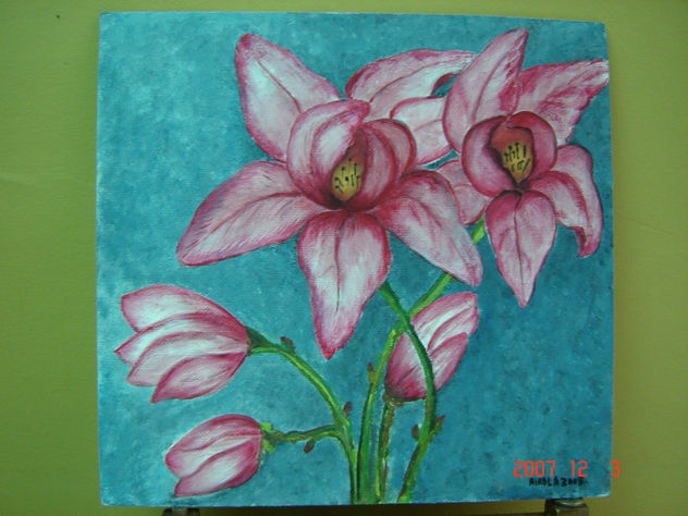 MAGNOLIO ROSADO
