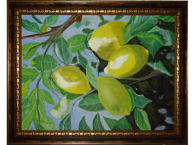 Limonero Oil Canvas Others