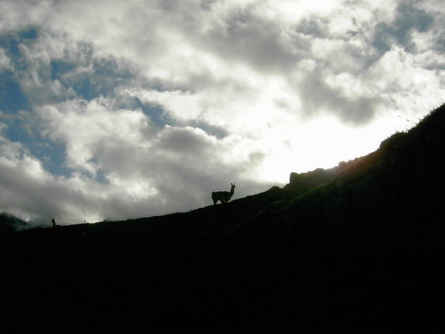 Despertares en Machu Picchu III Travel Color (Digital)