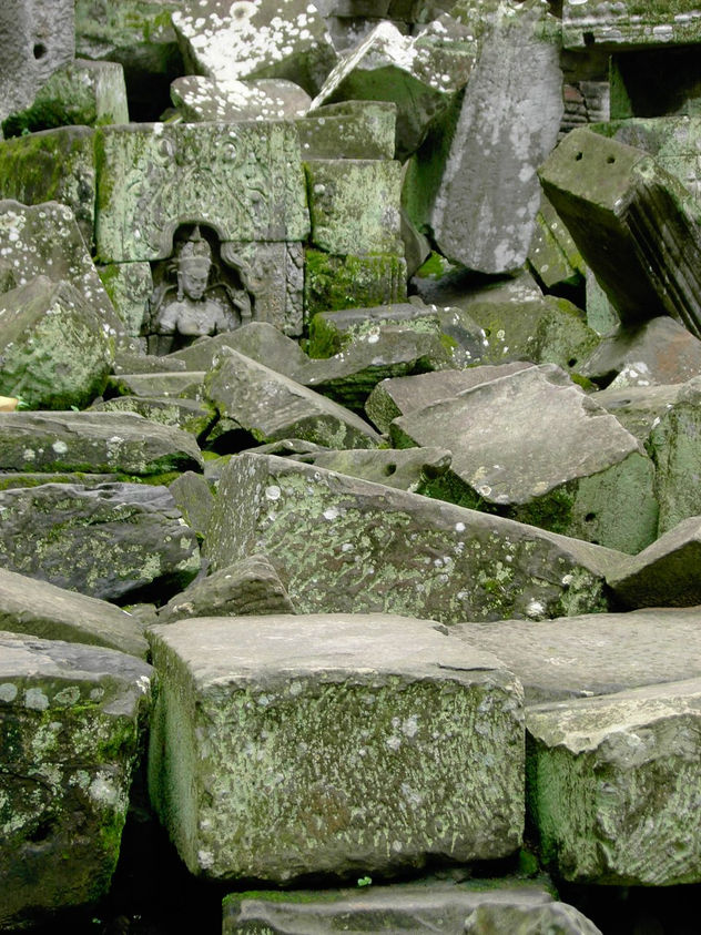 La fuerza de la naturaleza II