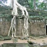 Camboya thumbnail 2