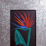Mis Flores thumbnail 2