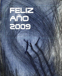 Feliz año 2009 2