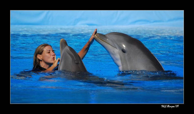 Entrenadora con delfines Otras temáticas Color (Digital)