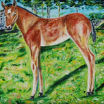caballos thumbnail 1