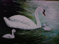 Cisnes