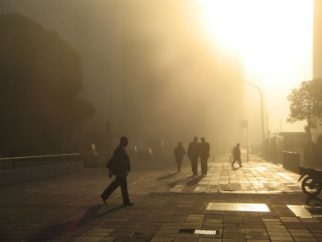 Siluetas en la niebla. 