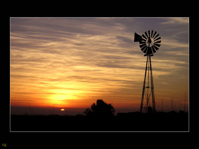 cielo campo 