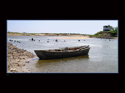 Bote