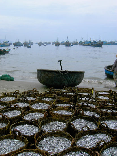 Fishing market I Travel Color (Digital)