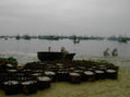 Fishing market II