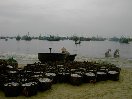 Fishing market II